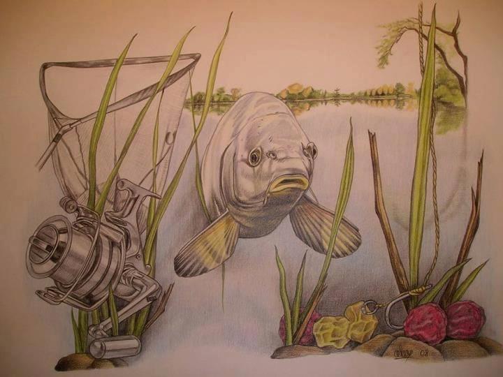 haioase - 1483177441999332566268869339746n.jpg